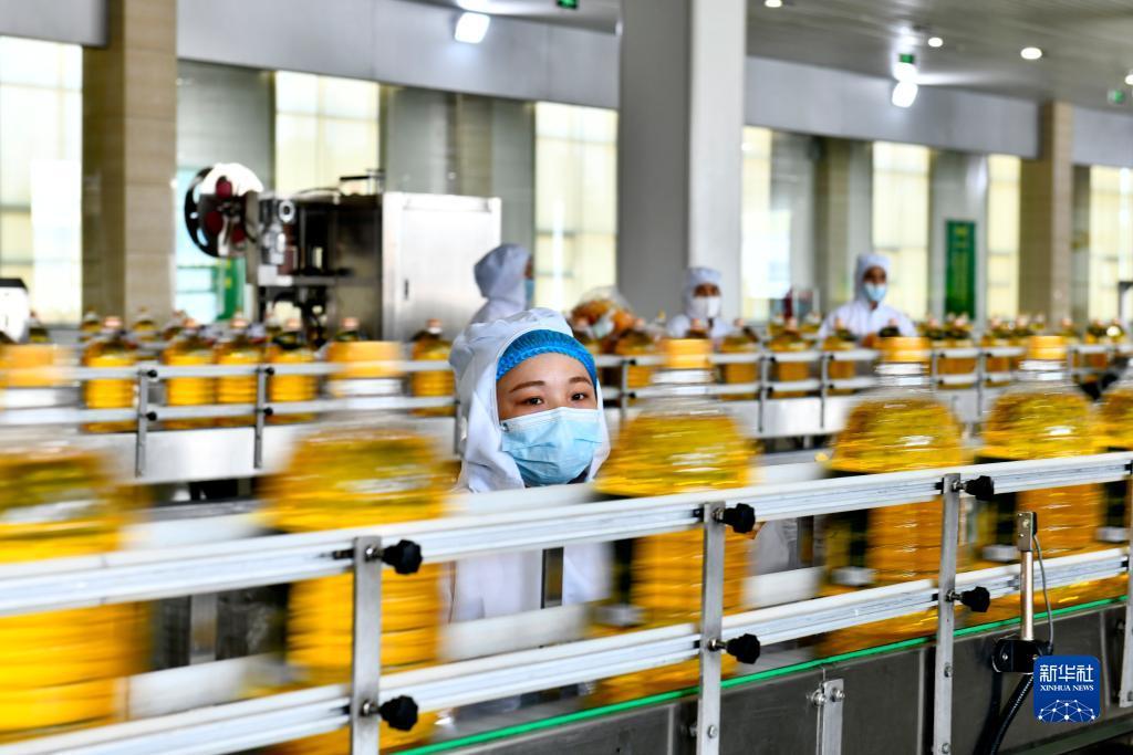 捕鱼游戏在线玩网页版